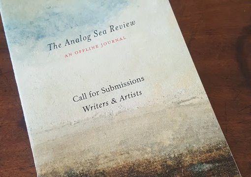 analog sea review