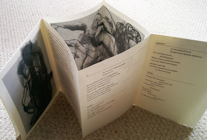 Cell, by Clare Best & Michaela Ridgway, Frogmore Press 2015