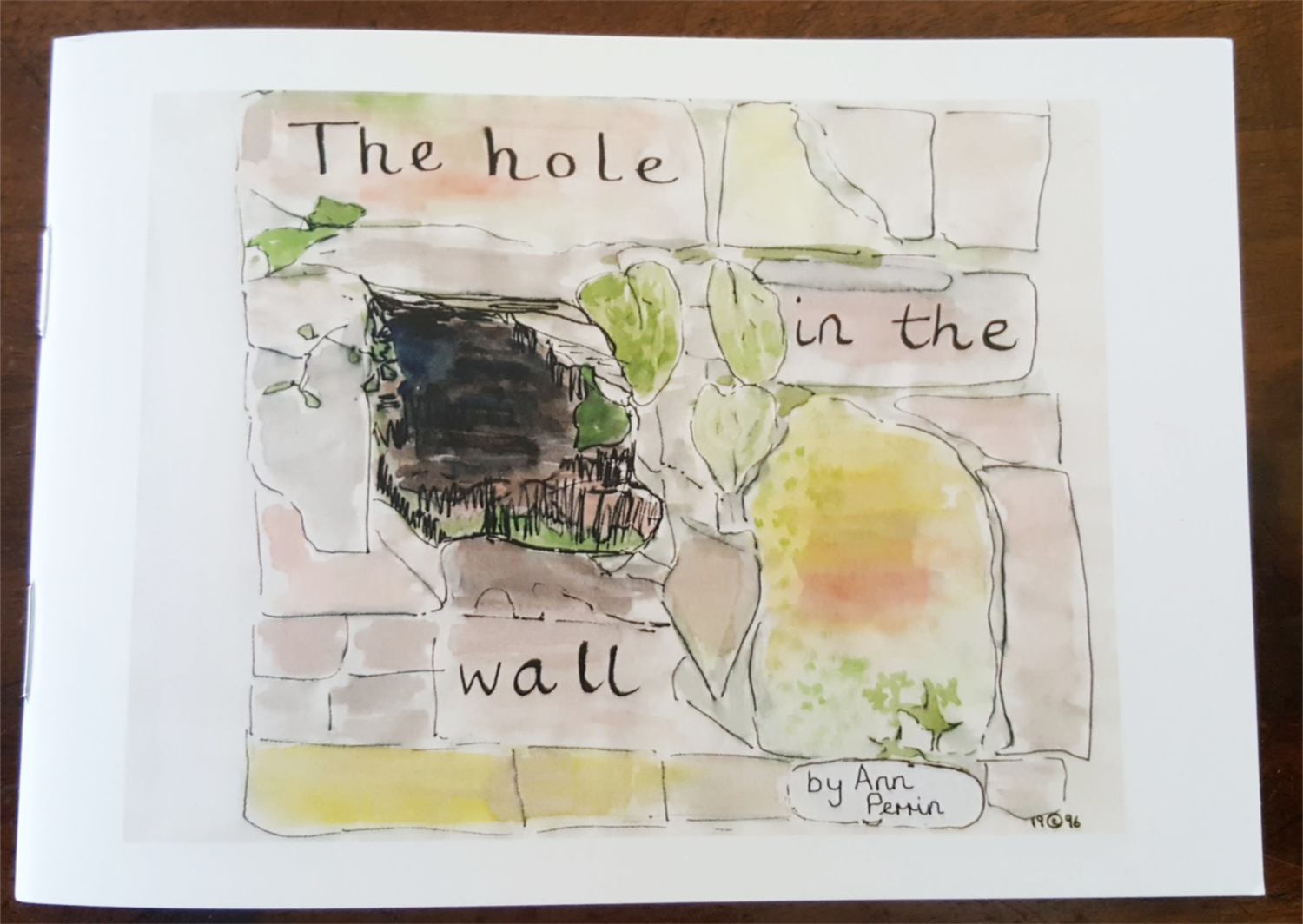 ann perrin - the hole in the wall