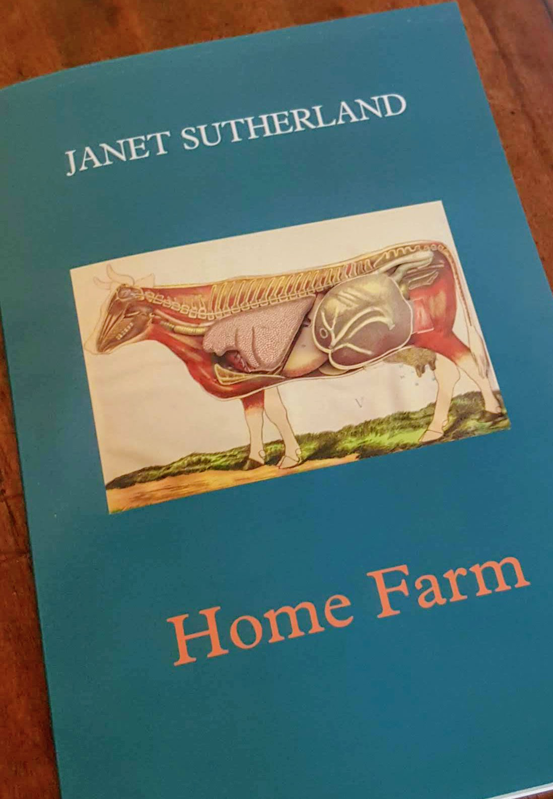 Home Farm by Janet Sutherland