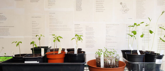 Seedlings and poetry wall