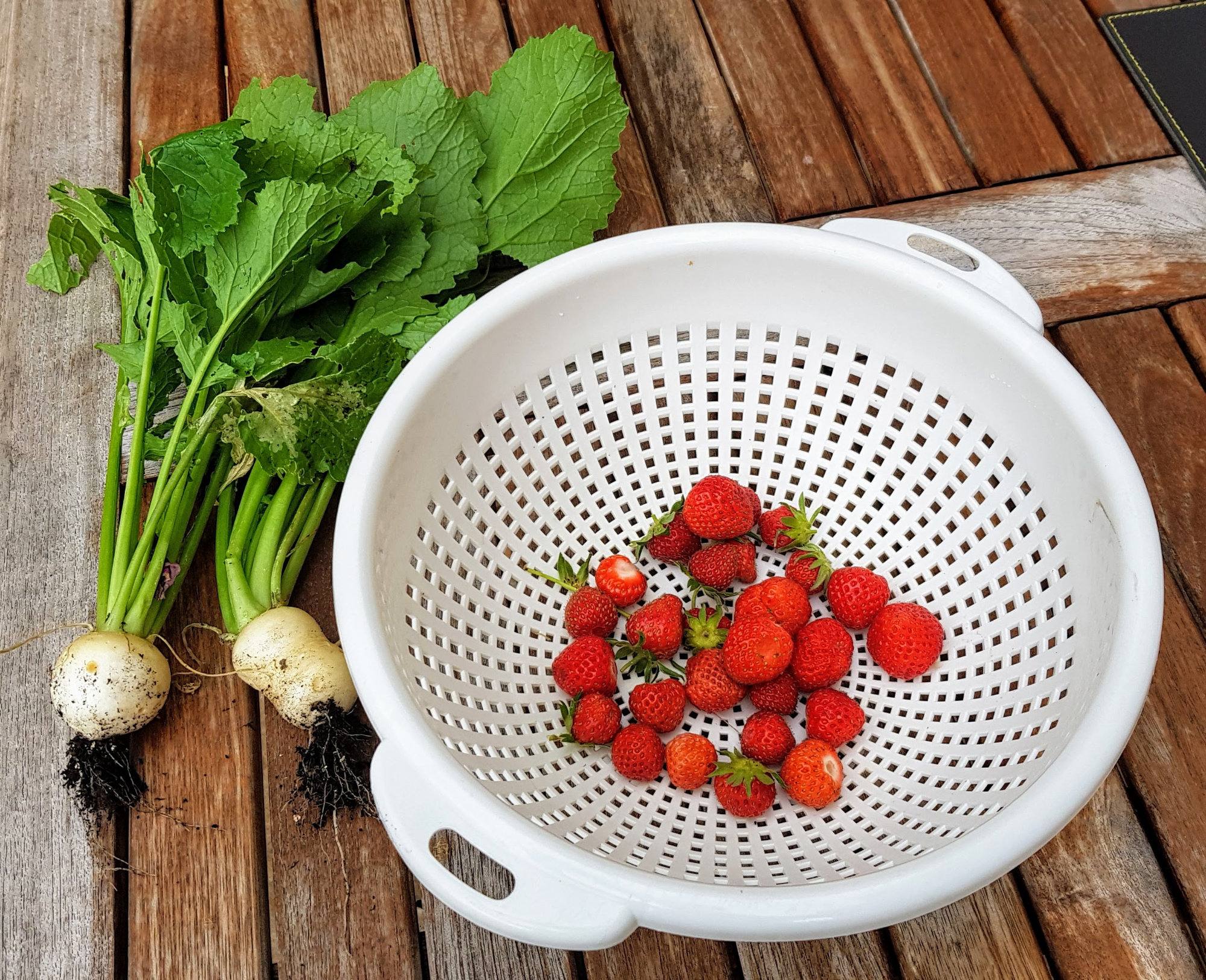 garden produce