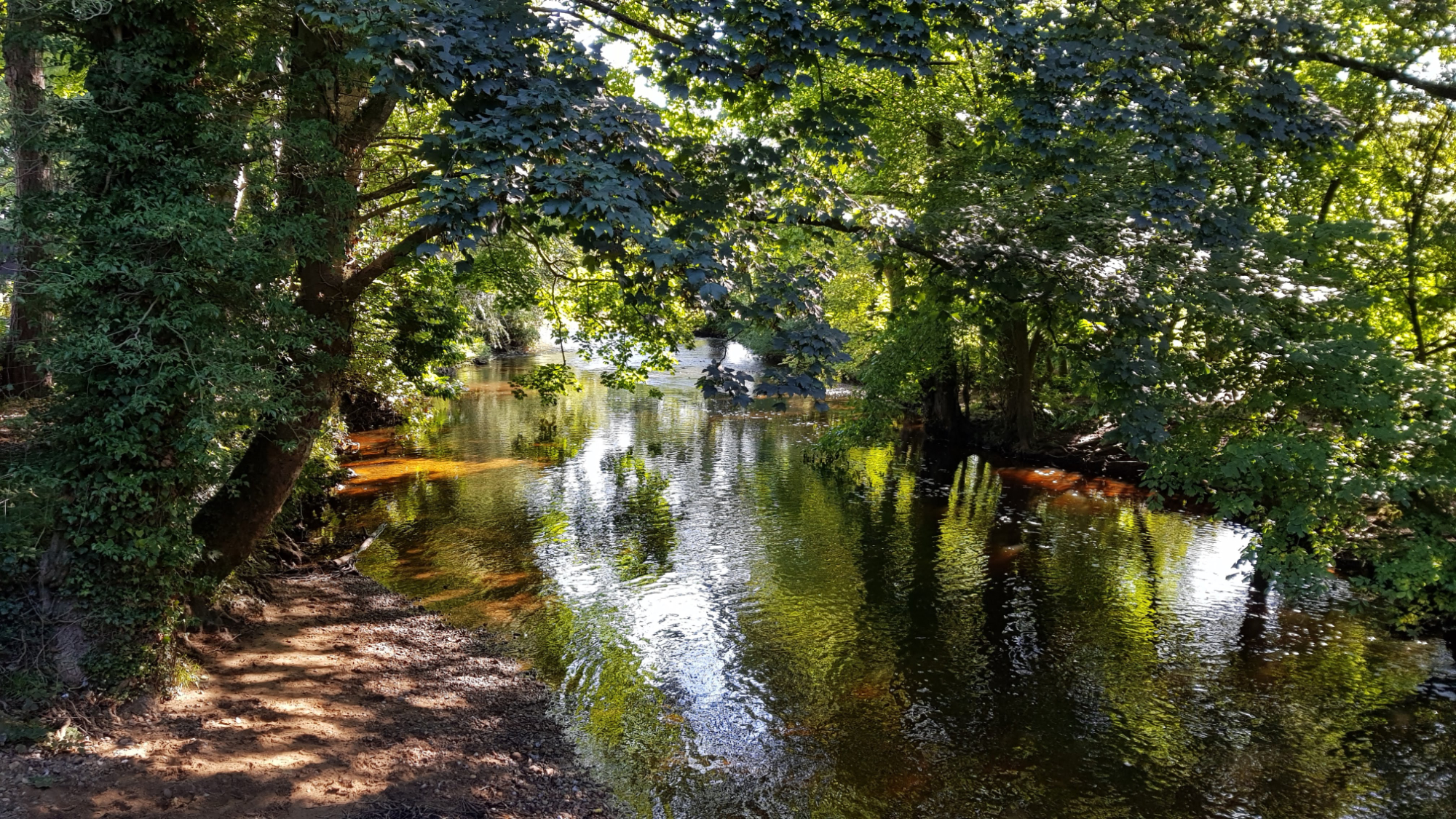 Ripon canal