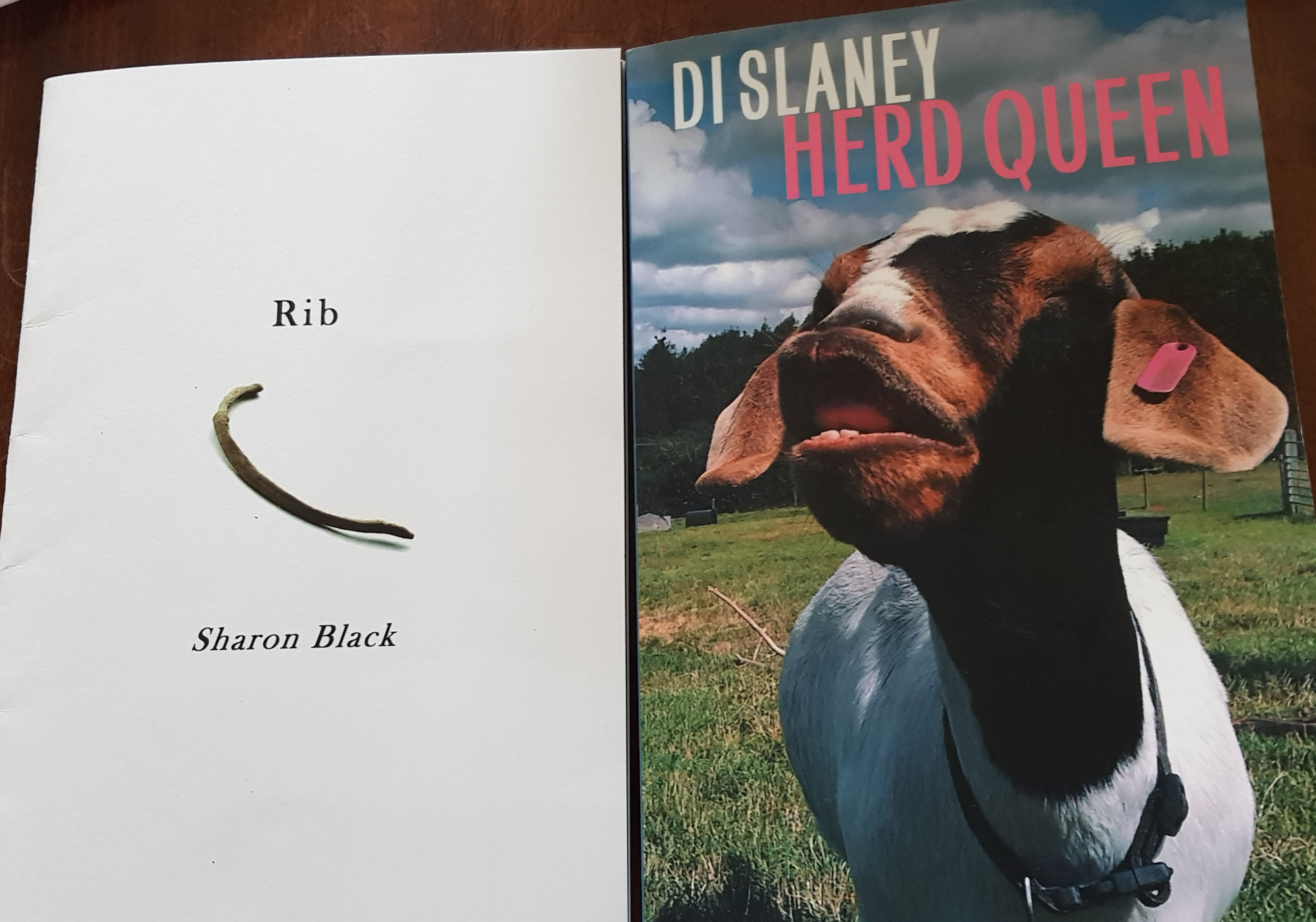 Recent poetry by Sharon Black and Di Slaney