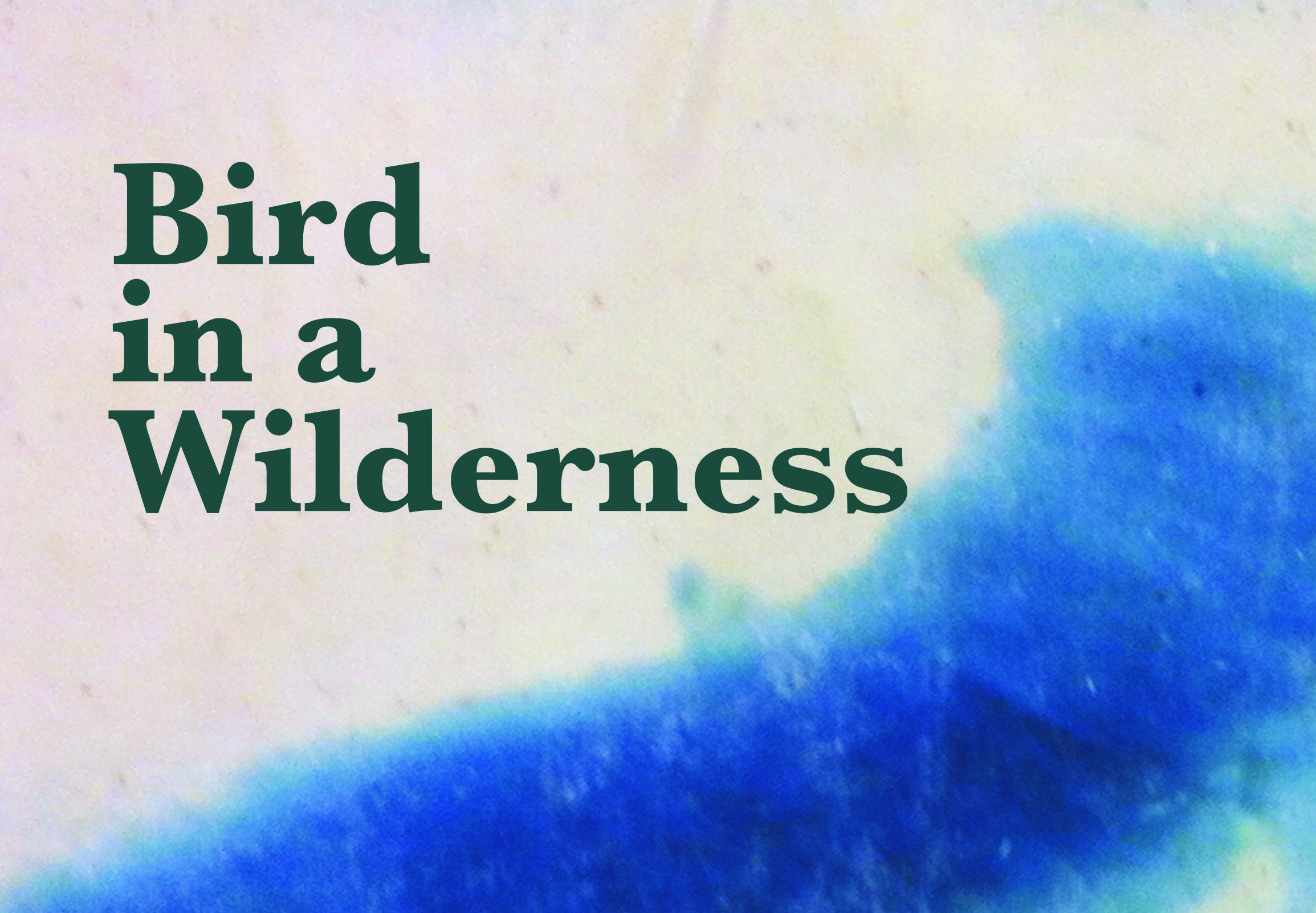 "Bird in a Wilderness" Hastings Stanza Poetry Anthology