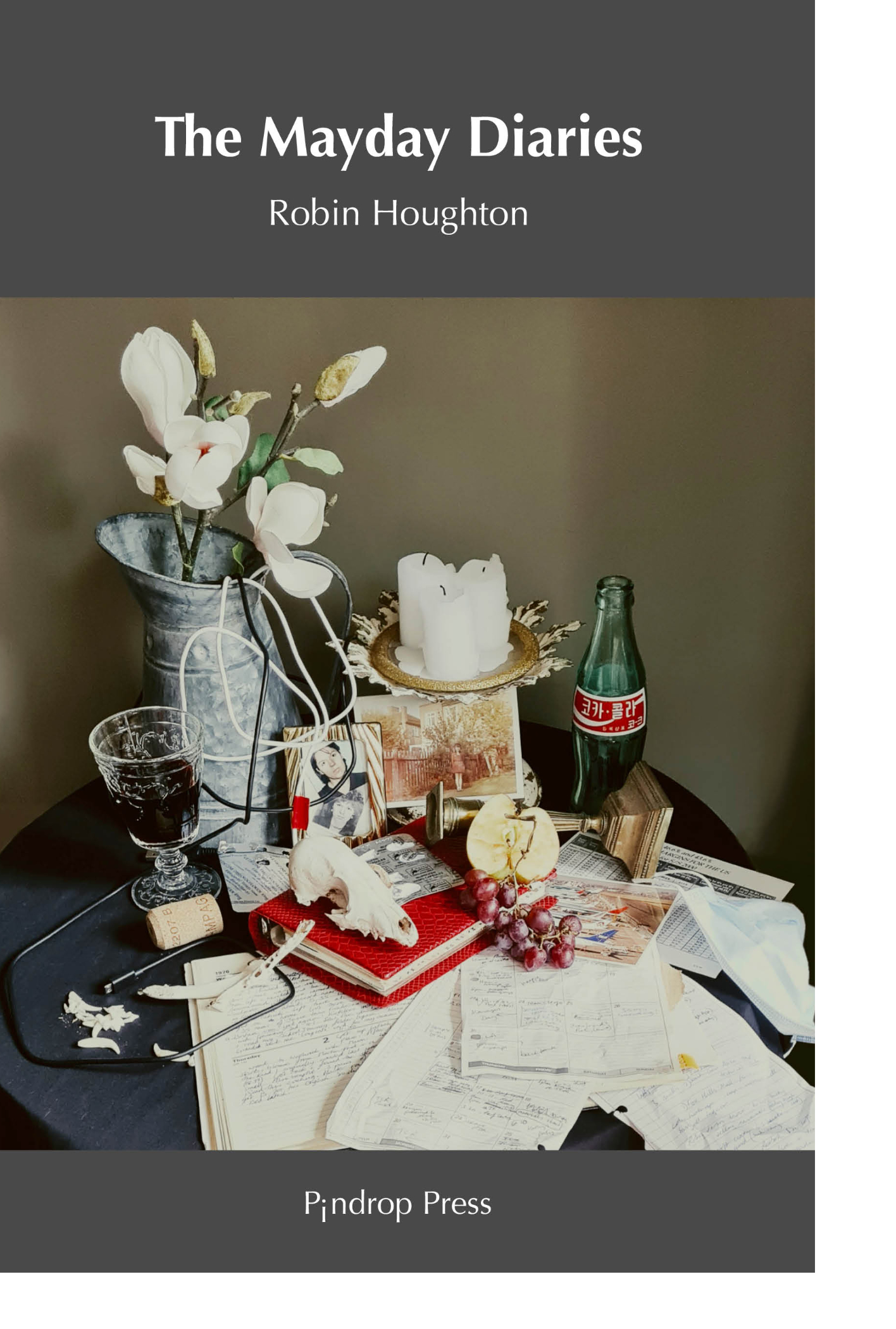 The Mayday Diaries by Robin Houghton - cover