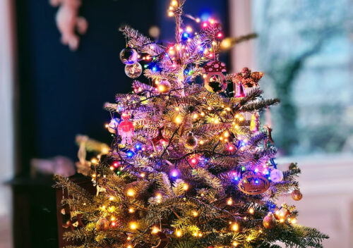 small christmas tree