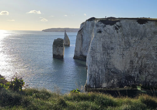 Cliffs near Swanage Dorset